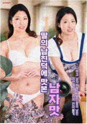 浪漫满屋 经典喜剧韩剧 韩剧在线观看